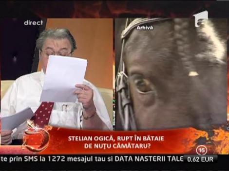 Corneliu Vadim Tudor: "Politia nu alearga dupa infractori, ci imparte prada cu ei"