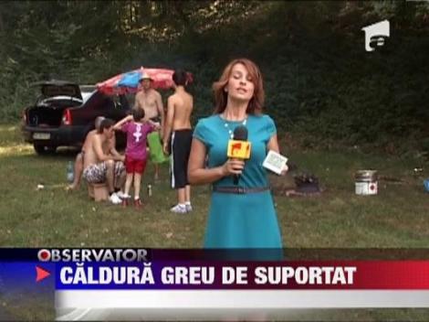 Caldura greu de suportat in tara