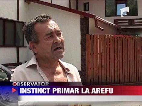 Sharon Stone ii pune pe jar pe barbatii din Arefu, de langa Transfagarasan!