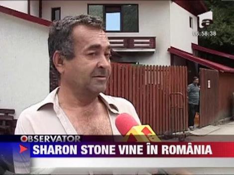 Sharon Stone vine in Romania