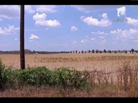 SUA se confrunta cu cea mai grava seceta din ultimii 25 de ani