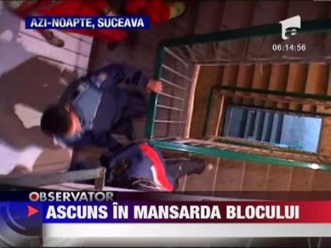 Om al strazii ascuns in mansarda unui bloc
