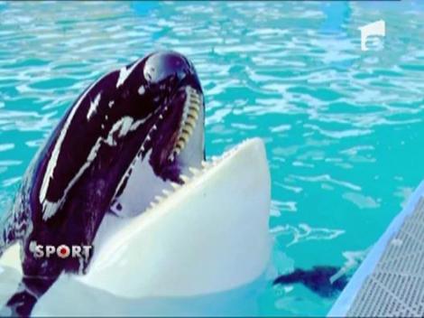 Shakira a fost surprinsa in timp ce se saruta pasional la Miami