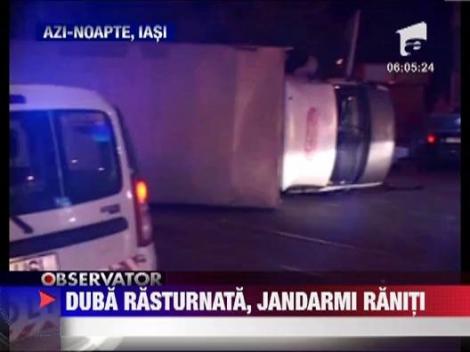 Duba rasturnata, jandarmi raniti