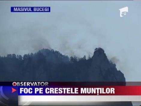 Zeci de hectare de padure si pasune ard mocnit in lantul Carpatilor