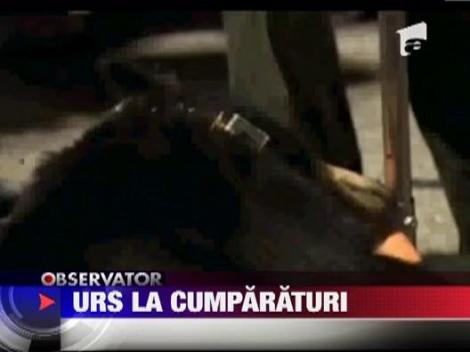 Urs la "cumparaturi", in supermarket