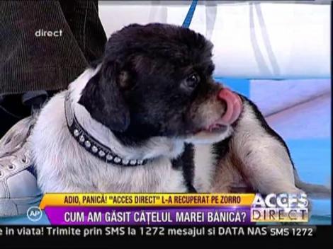 Mara Banica l-am gasit pe Zorro!