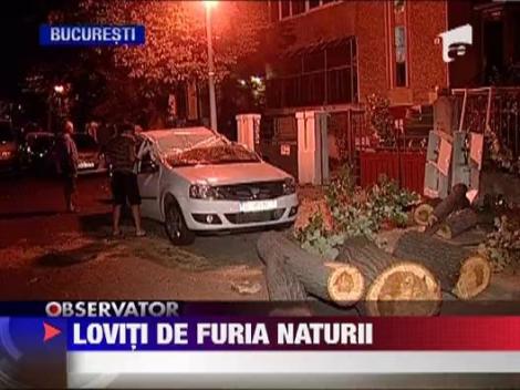 Vijeliile au rascolit toata tara