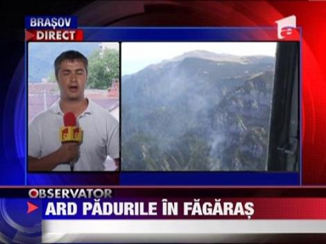 Alerta de foc in Fagaras!