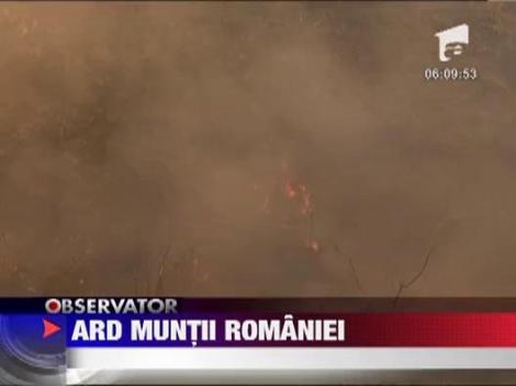 Flacarile de pe versantul prahovean al Masivului Bucegi, domolite cu ajutorul unui elicopter