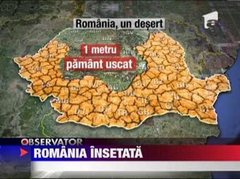 Pana la un metru adancime nu mai exista strop de apa din cauza secetei prelungite