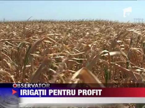Irigatiile, singura sansa pentru agricultorii romani
