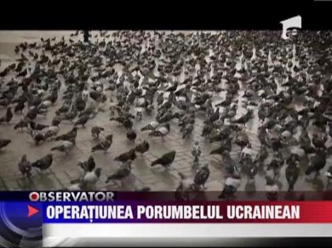 Operatiunea porumbelul ucrainean