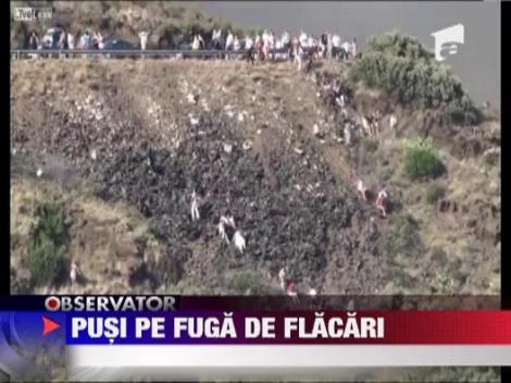 Incendiile parjolesc nordul Cataloniei