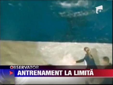 La un pas sa moara inecat de propriul elev, o balena ucigasa