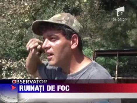 Vile mistuite de flacari la Comarnic