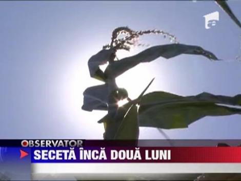 Seceta pentru inca doua luni!
