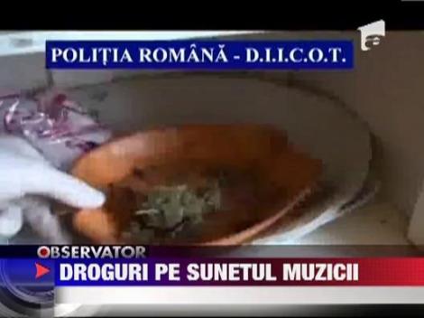 Plantatie de cannabis descoperita in casa unui clujean