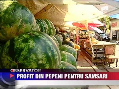 Profit urias pentru samsarii pepeni