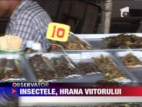 Insectele, hrana viitorului! Tu ai incerca asa ceva?