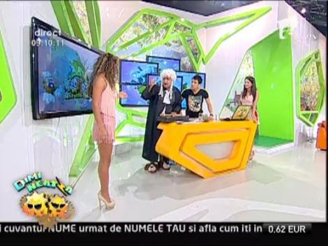 Bulinel s-a apucat de avocatura