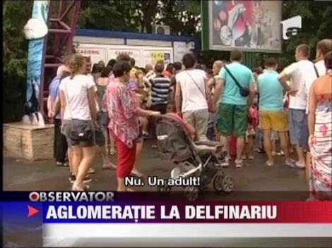 Aglomeratie la Delfinariul din Constanta! Sute de turisti au venit sa vada delfinii