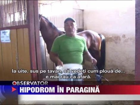 REPORTAJ: Ultimul hipodrom din Romania sta sa cada in orice moment