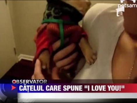 Un caine care spune "I Love You"!