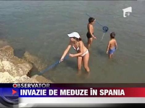 Invazie de meduze in Spania