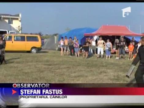 Nunta in patru labe: Jim si Beam, primii caini casatoriti in Romania!