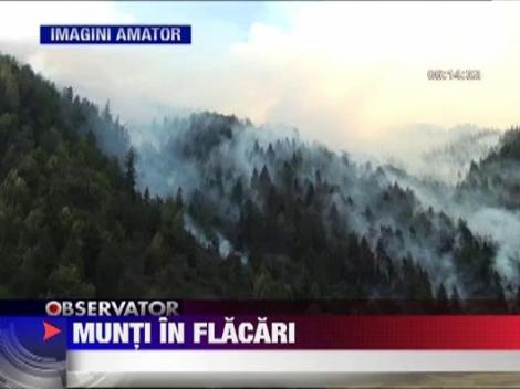 Zeci de hectare de vegetatie uscata ard in in Muntii Rodnei