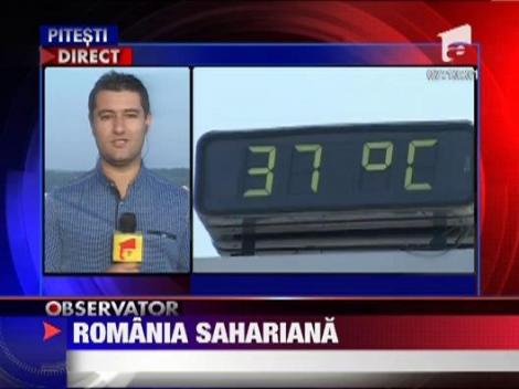 Romania sahariana: in aceste zile termometrele vor arata peste 40 de grade