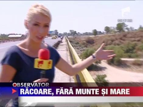 Bucurestenii s-au racorit in in jurul apelor din oras si din imprejurimi