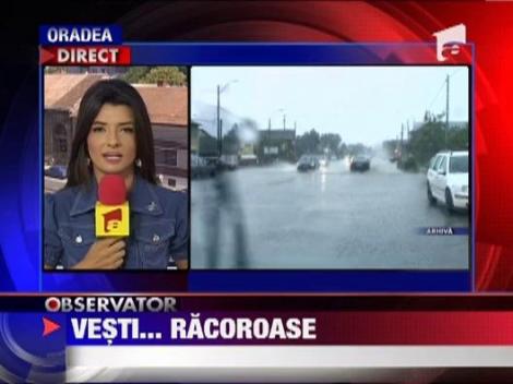 Avertizare meteorologica: CANICULA si VIJELIILE lovesc tara!