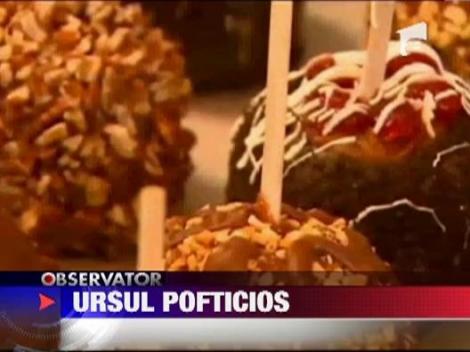 Inchideti-va bine magazinele! Asta daca nu vreti sa aveti de-a face cu un urs... pofticios!