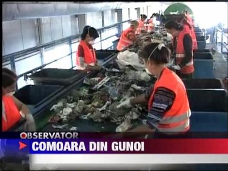 Si din gunoaie putem sa facem bani! 9 lei - atat costa un kilogram de pet-uri!