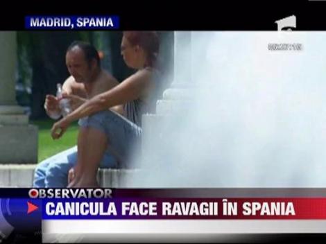 Canicula face ravagii in Spania