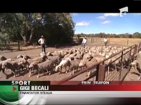 Gigi Becali are vise prevestitoare inaintea meciurilor Stelei