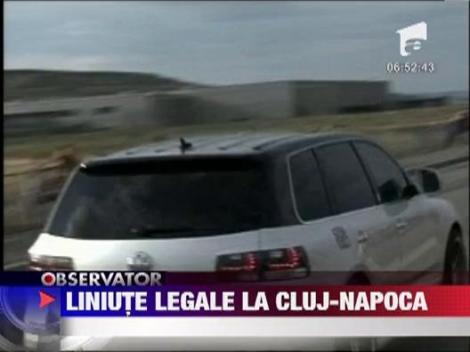"Liniute" legale la Cluj-Napoca