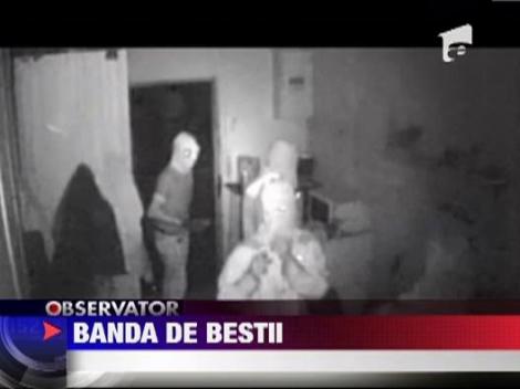 IMAGINI SOCANTE! Banda de bestii: Sase romani au ingrozit orasul Praga! 