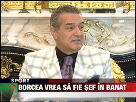 Cristi Borcea ar putea prelua pe Poli Timisoara