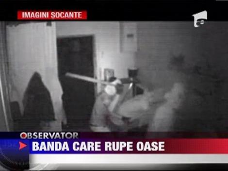 "Banda care rupe oase", faimoasa in toata Cehia