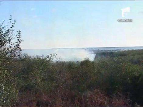 Incendiu de vegetatie in nordul Craiovei