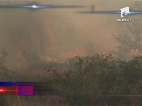 Un sat din Maramures a fost la un pas sa fie mistuit de flacari