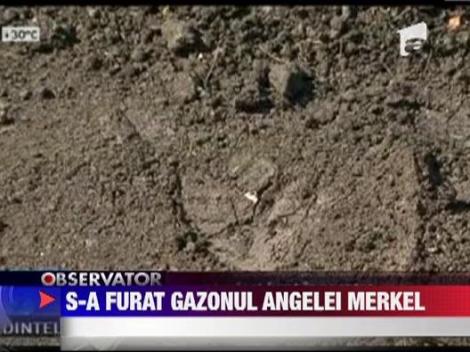 Chisinau: Gazonul plantat pentru vizita cancelarului german Angela Merkel a fost furat