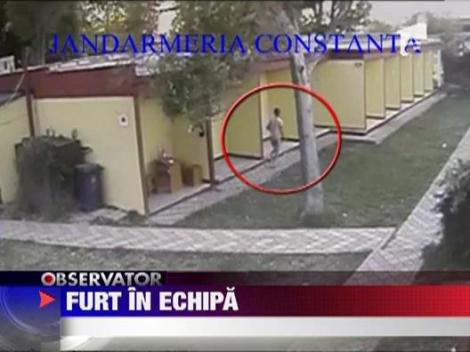 Hotii fura fara teama, la malul marii!