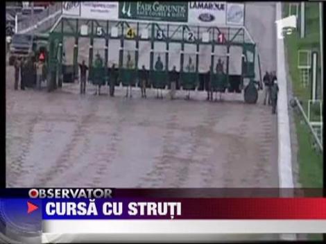 Cursa de calarit struti, in SUA