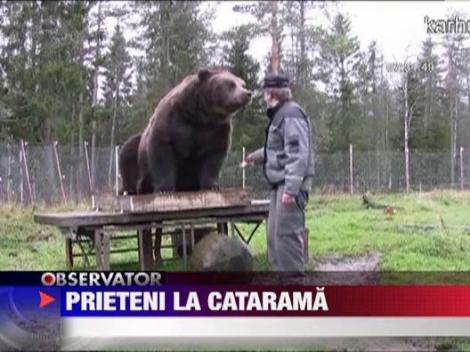 Prietenie fara teama intre padurari si doi ursi din Finlanda