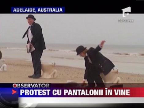 12 australieni au protestat cu pantalonii in vine pe plaja. Vezi ce nemultumire au!