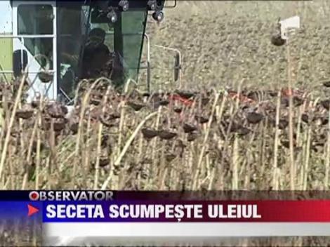 Seceta scumpeste uleiul
